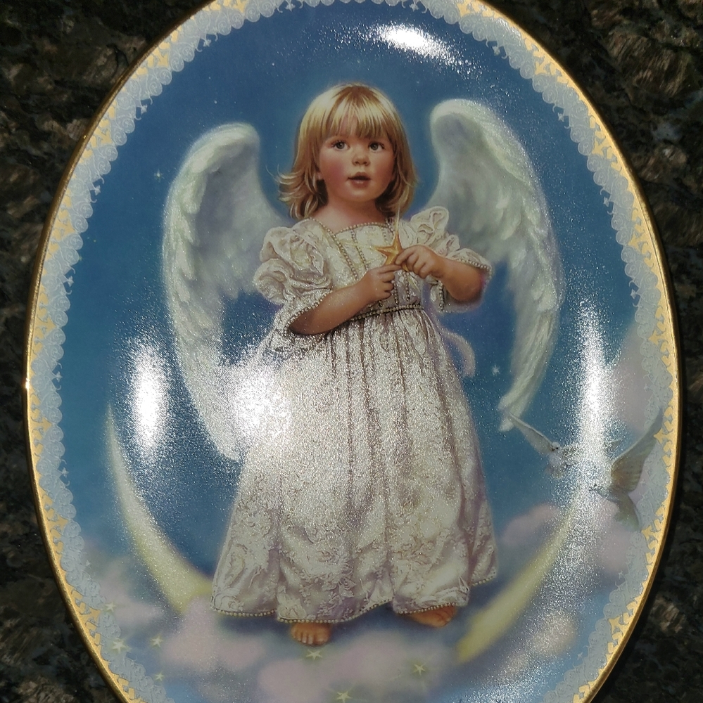 Wings of Wonder by Sandra Kruk Collector Plate The Bradford Exchange